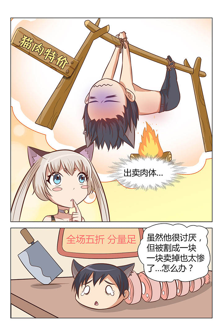 《喵即正义》漫画最新章节第46章：免费下拉式在线观看章节第【1】张图片