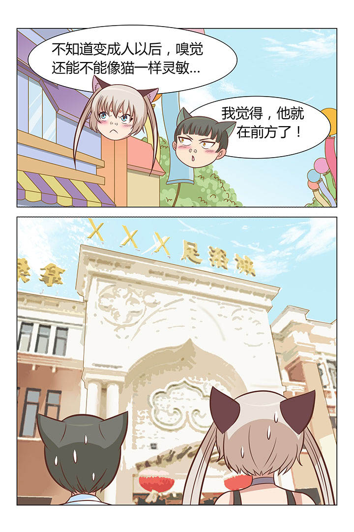 《喵即正义》漫画最新章节第48章：免费下拉式在线观看章节第【7】张图片