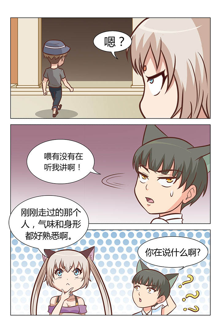 《喵即正义》漫画最新章节第48章：免费下拉式在线观看章节第【5】张图片