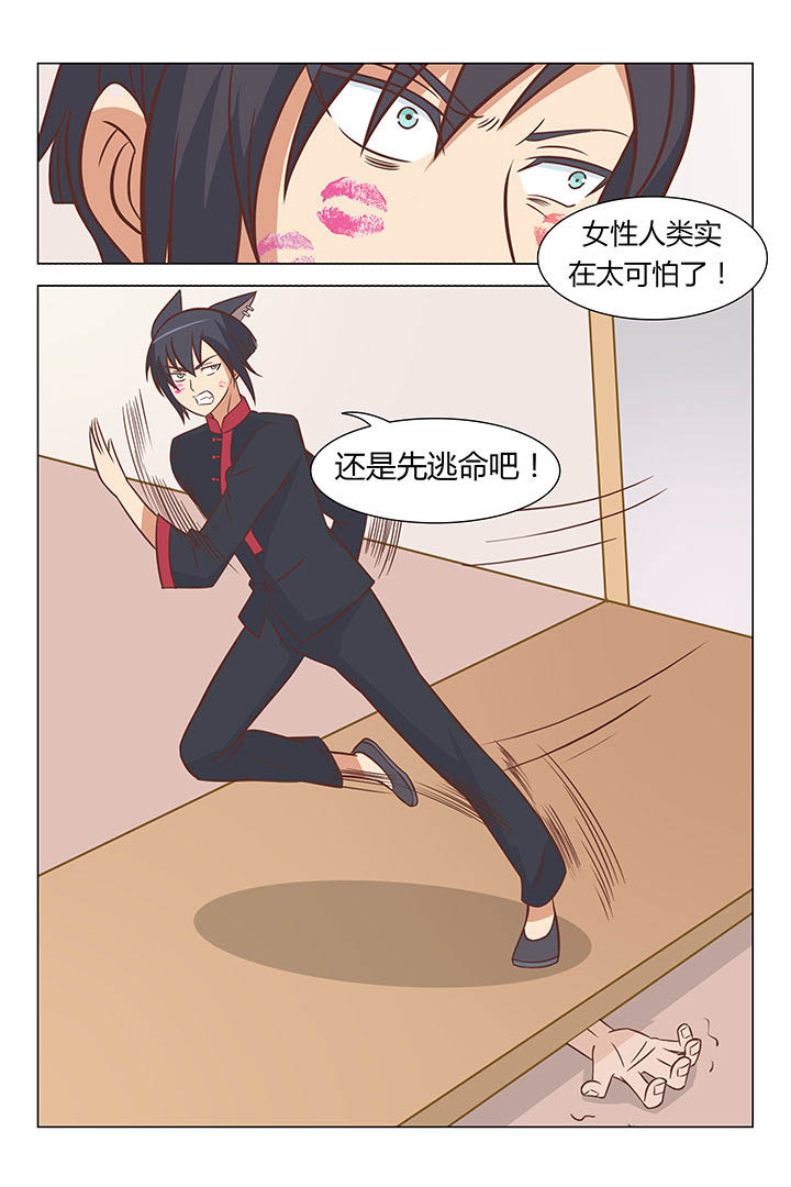 《喵即正义》漫画最新章节第51章：免费下拉式在线观看章节第【4】张图片