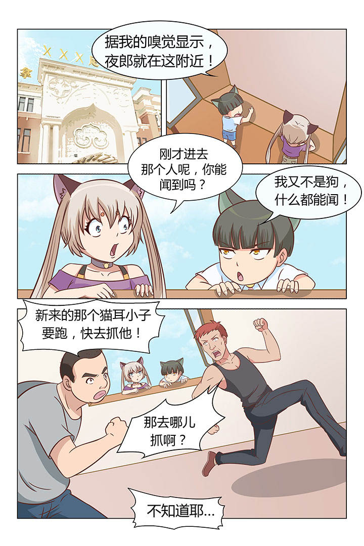 《喵即正义》漫画最新章节第52章：免费下拉式在线观看章节第【8】张图片