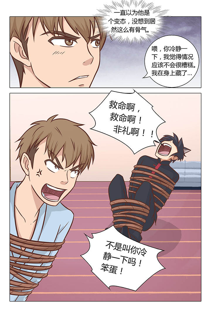 《喵即正义》漫画最新章节第53章：免费下拉式在线观看章节第【7】张图片