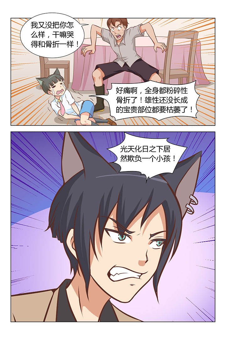 《喵即正义》漫画最新章节第61章：免费下拉式在线观看章节第【3】张图片