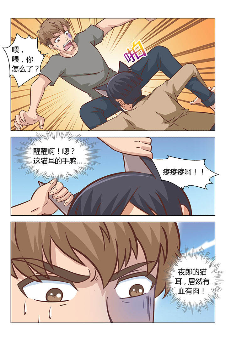 《喵即正义》漫画最新章节第68章：免费下拉式在线观看章节第【6】张图片