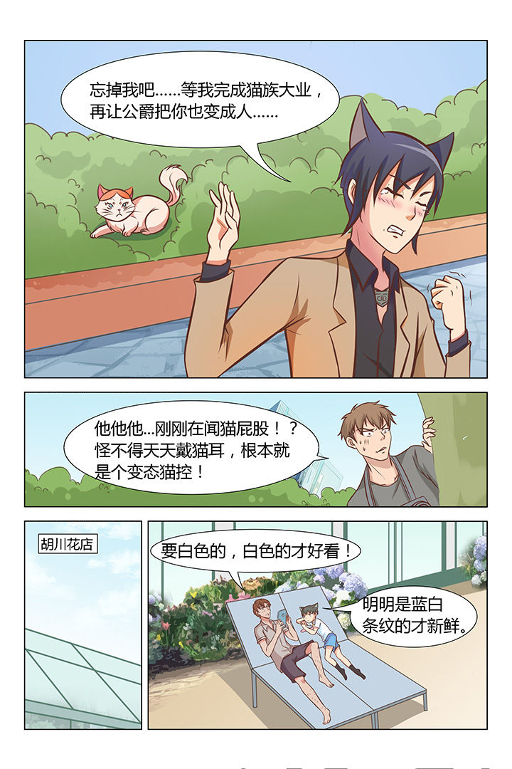 《喵即正义》漫画最新章节第70章：免费下拉式在线观看章节第【2】张图片