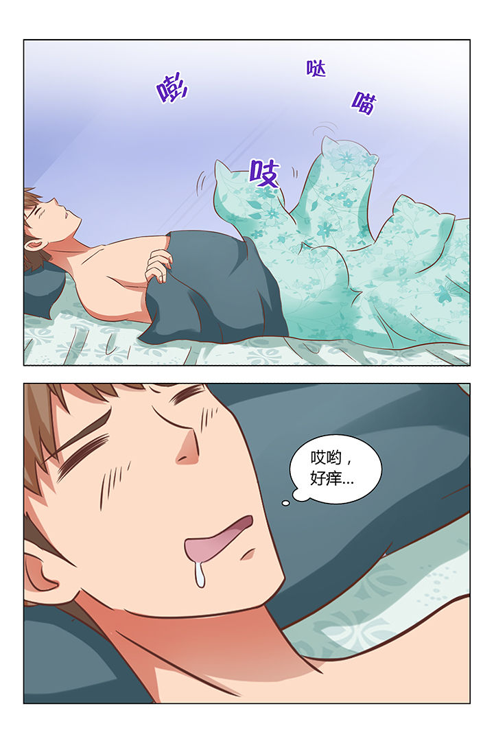 《喵即正义》漫画最新章节第76章：免费下拉式在线观看章节第【6】张图片