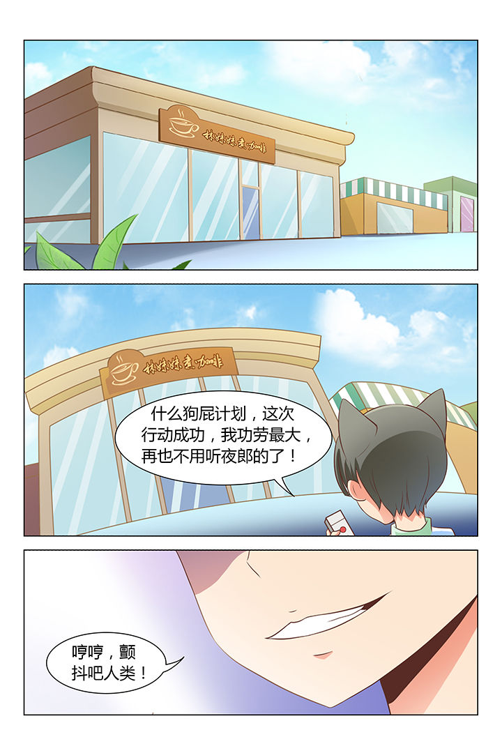 《喵即正义》漫画最新章节第77章：免费下拉式在线观看章节第【8】张图片