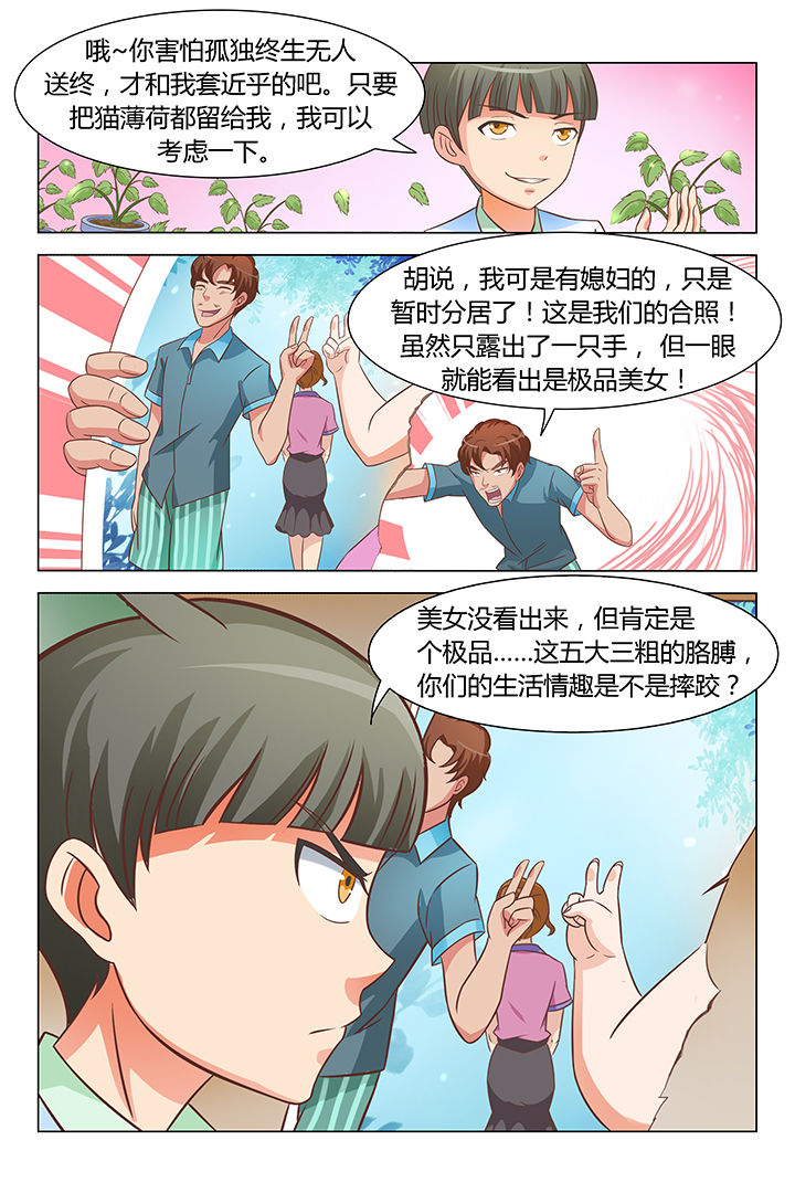 《喵即正义》漫画最新章节第80章：免费下拉式在线观看章节第【4】张图片