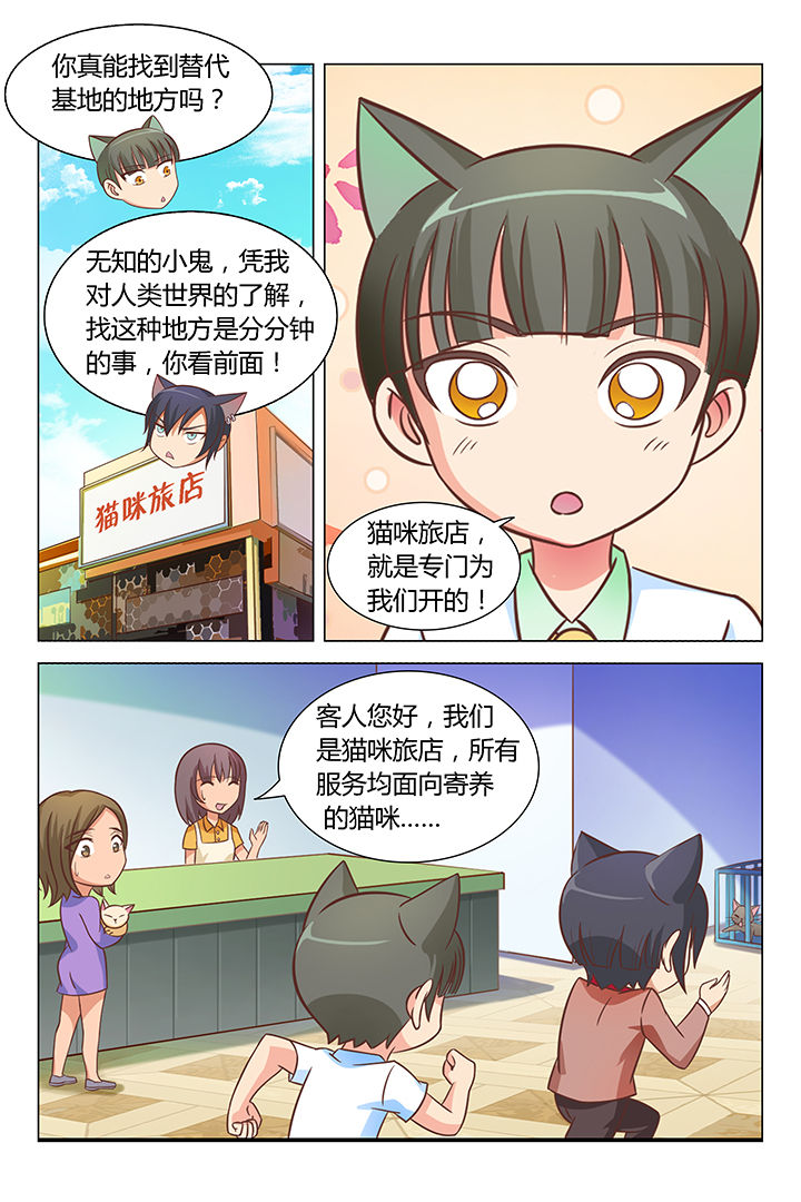 《喵即正义》漫画最新章节第83章：免费下拉式在线观看章节第【3】张图片