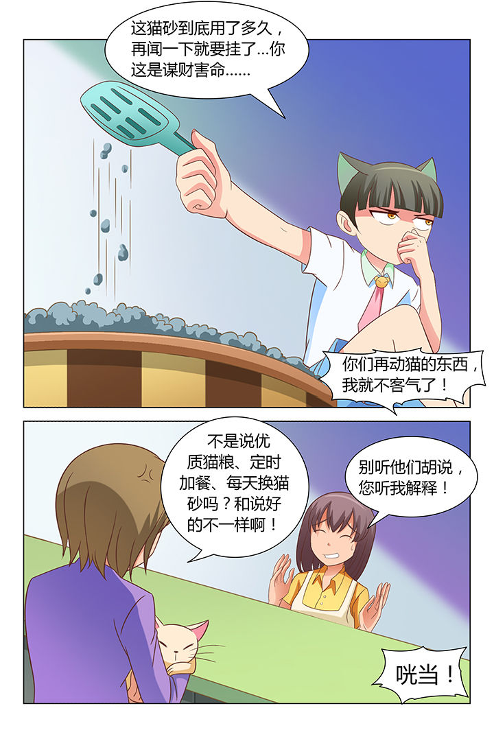 《喵即正义》漫画最新章节第84章：免费下拉式在线观看章节第【8】张图片