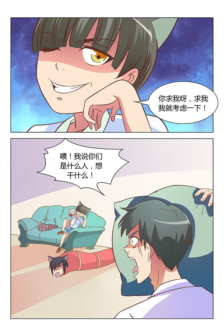 《喵即正义》漫画最新章节第86章：免费下拉式在线观看章节第【7】张图片