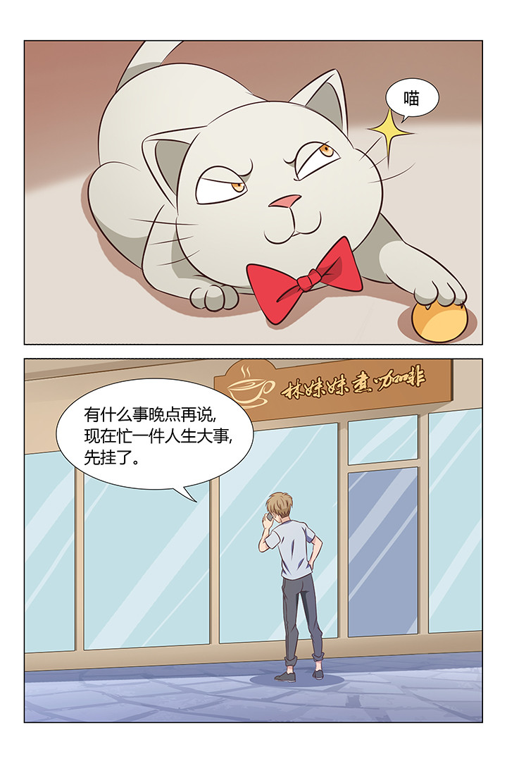 《喵即正义》漫画最新章节第98章：免费下拉式在线观看章节第【7】张图片