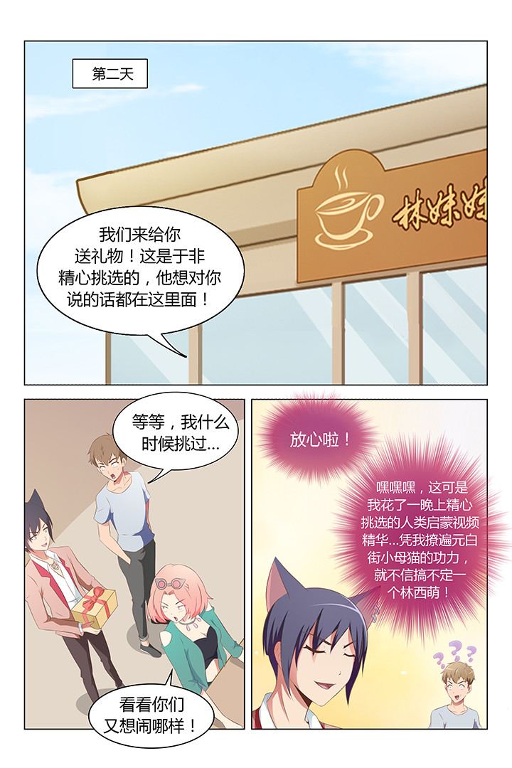 《喵即正义》漫画最新章节第101章：免费下拉式在线观看章节第【5】张图片