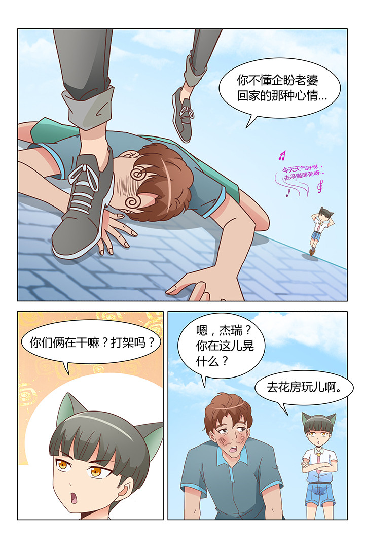 《喵即正义》漫画最新章节第103章：免费下拉式在线观看章节第【2】张图片