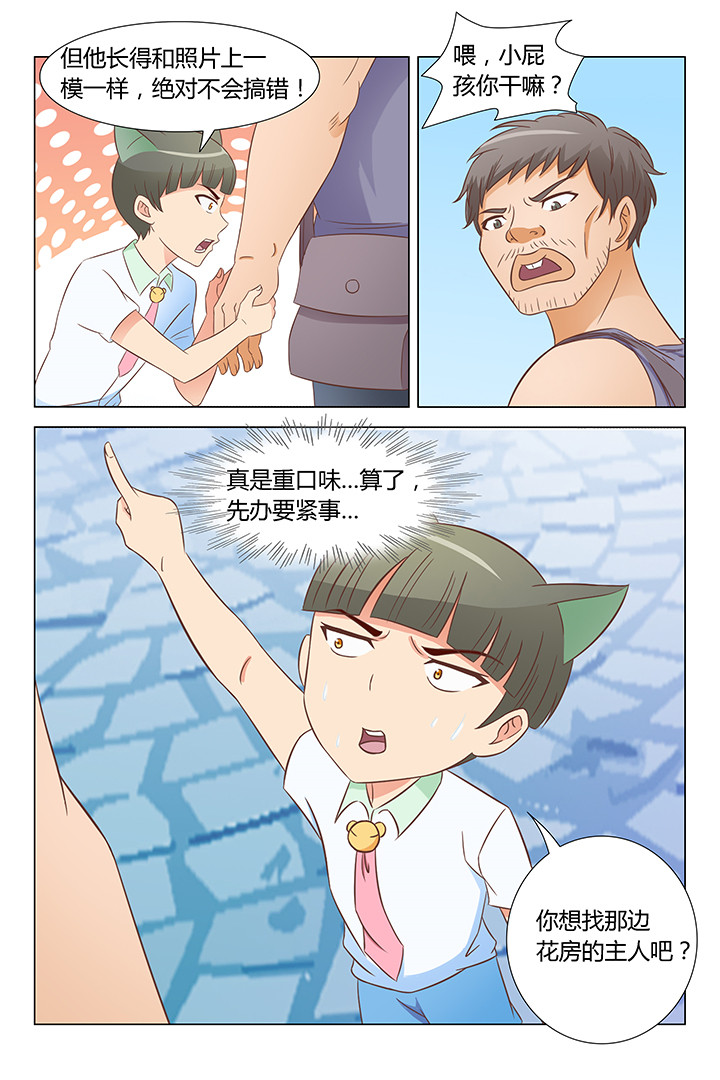 《喵即正义》漫画最新章节第104章：免费下拉式在线观看章节第【3】张图片