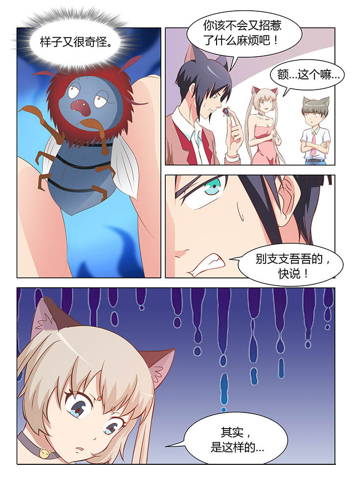 《喵即正义》漫画最新章节第108章：免费下拉式在线观看章节第【6】张图片