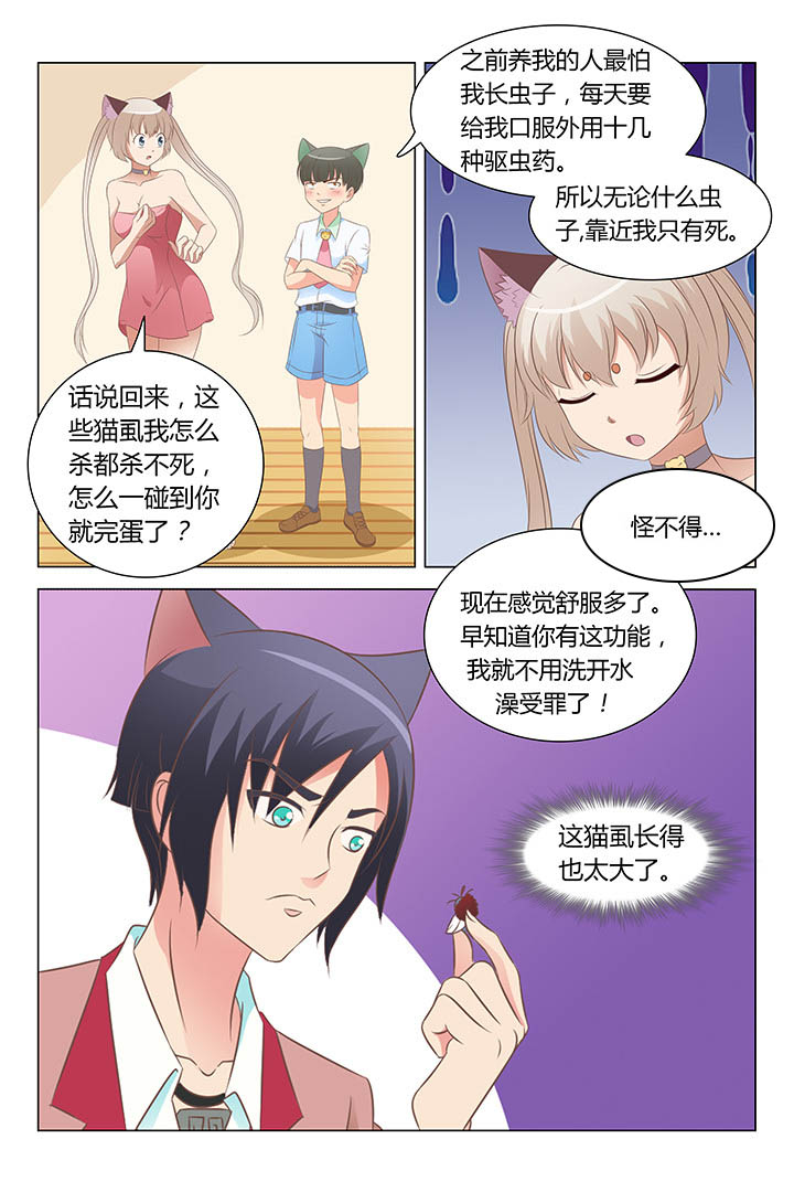 《喵即正义》漫画最新章节第108章：免费下拉式在线观看章节第【7】张图片