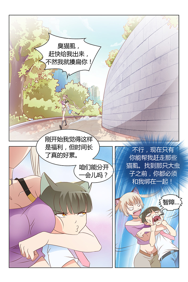 《喵即正义》漫画最新章节第111章：免费下拉式在线观看章节第【8】张图片