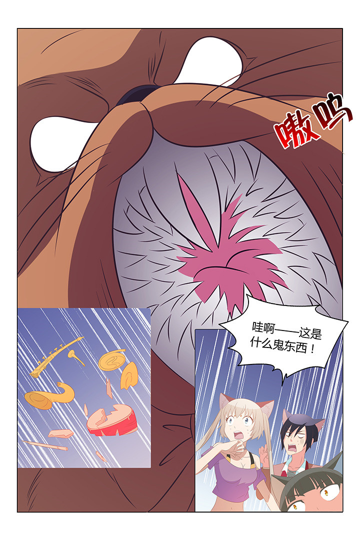 《喵即正义》漫画最新章节第112章：免费下拉式在线观看章节第【3】张图片