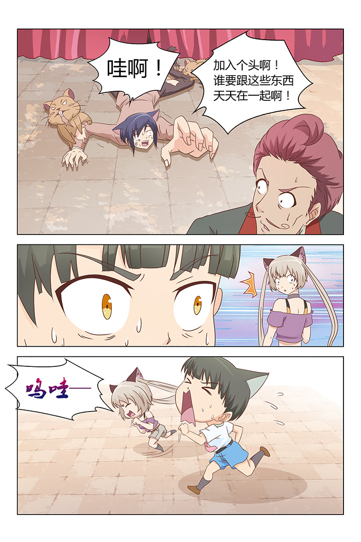 《喵即正义》漫画最新章节第113章：免费下拉式在线观看章节第【2】张图片