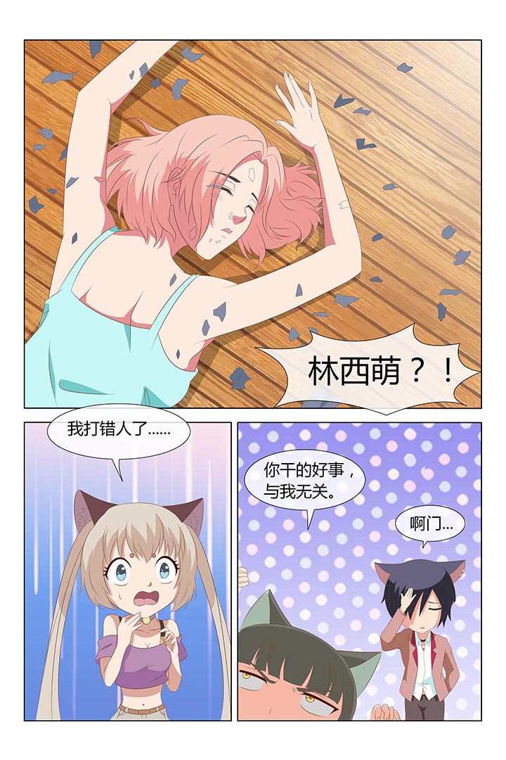 《喵即正义》漫画最新章节第133章：免费下拉式在线观看章节第【1】张图片