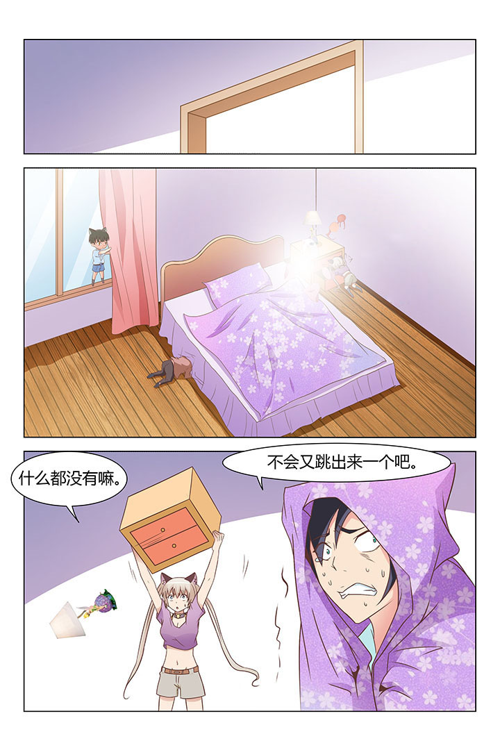 《喵即正义》漫画最新章节第134章：免费下拉式在线观看章节第【4】张图片