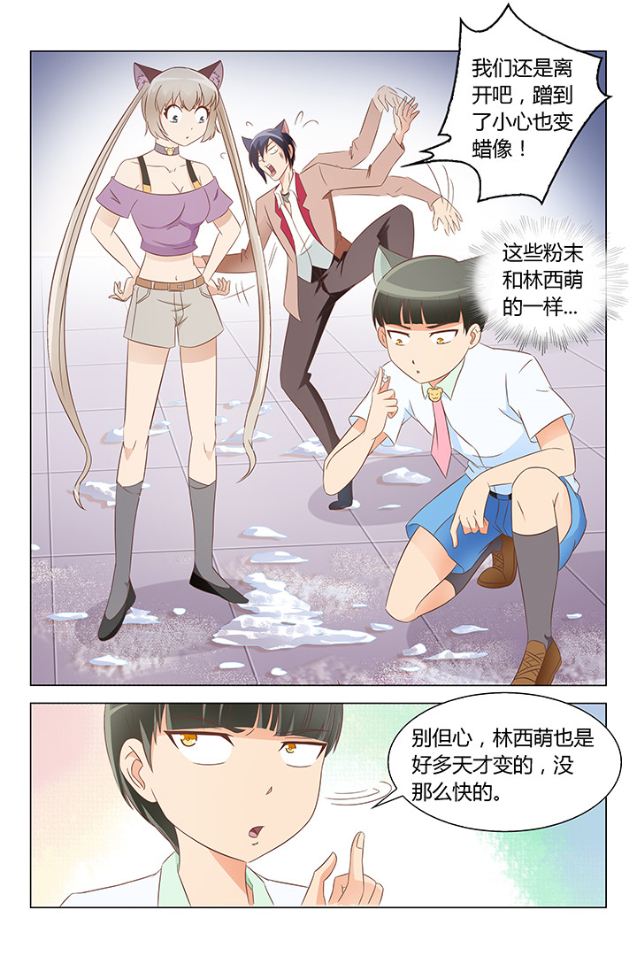 《喵即正义》漫画最新章节第135章：免费下拉式在线观看章节第【4】张图片