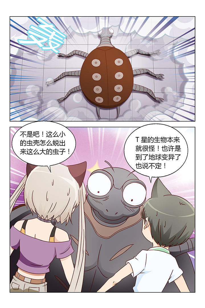 《喵即正义》漫画最新章节第137章：免费下拉式在线观看章节第【5】张图片