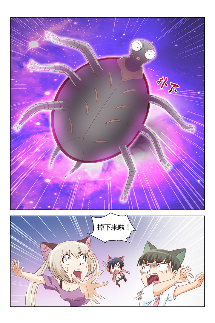 《喵即正义》漫画最新章节第137章：免费下拉式在线观看章节第【6】张图片