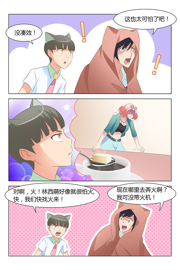 《喵即正义》漫画最新章节第138章：免费下拉式在线观看章节第【4】张图片