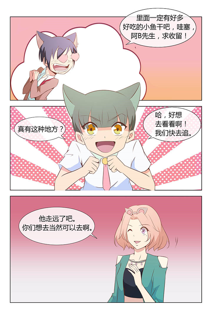 《喵即正义》漫画最新章节第140章：免费下拉式在线观看章节第【4】张图片