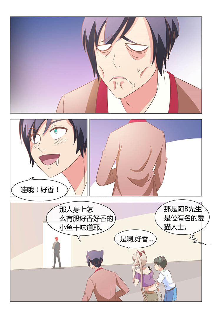 《喵即正义》漫画最新章节第140章：免费下拉式在线观看章节第【6】张图片