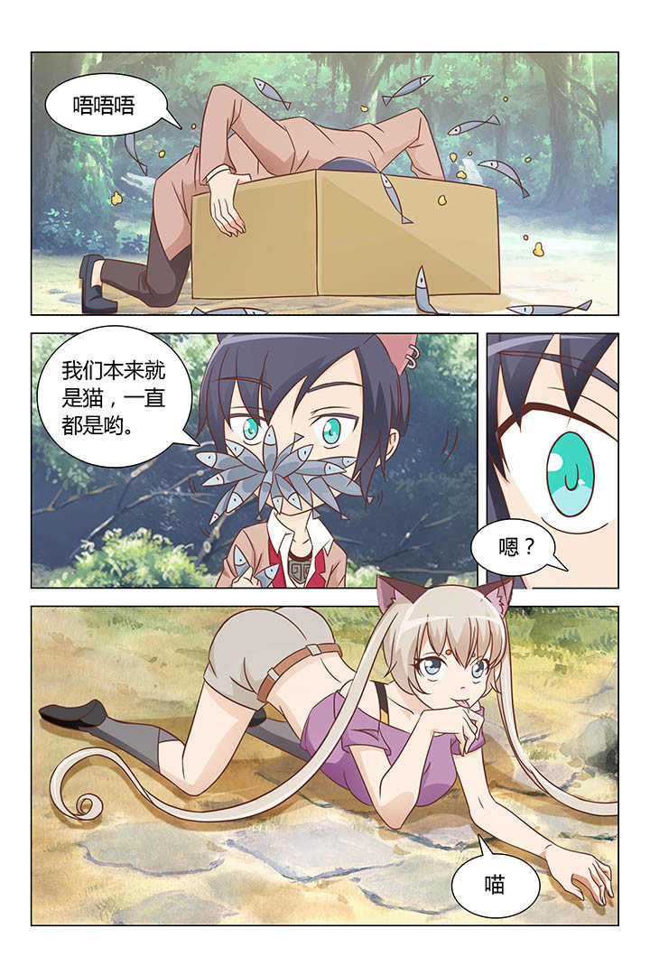 《喵即正义》漫画最新章节第141章：免费下拉式在线观看章节第【3】张图片