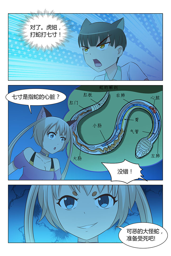 《喵即正义》漫画最新章节第144章：免费下拉式在线观看章节第【5】张图片