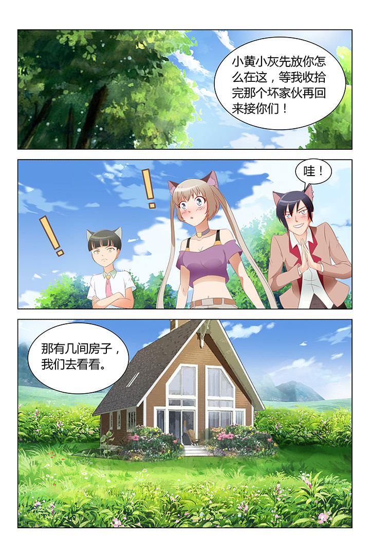 《喵即正义》漫画最新章节第145章：免费下拉式在线观看章节第【5】张图片