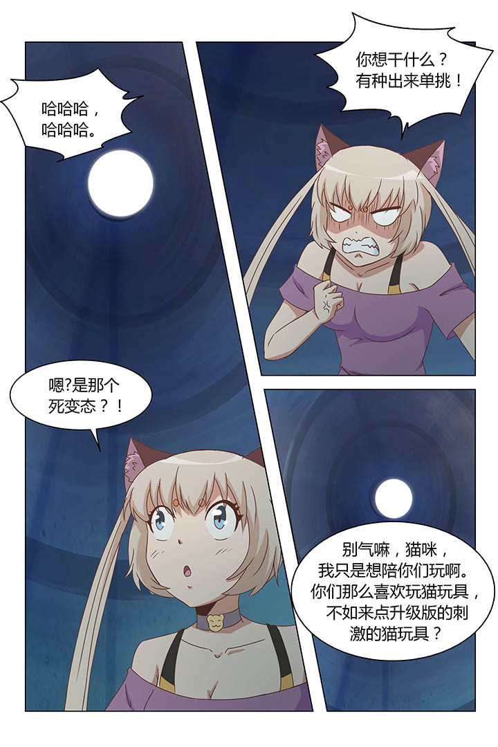 《喵即正义》漫画最新章节第146章：免费下拉式在线观看章节第【1】张图片