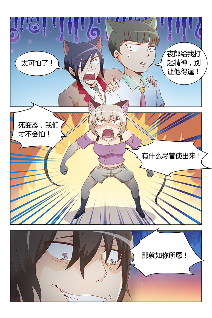 《喵即正义》漫画最新章节第147章：免费下拉式在线观看章节第【2】张图片