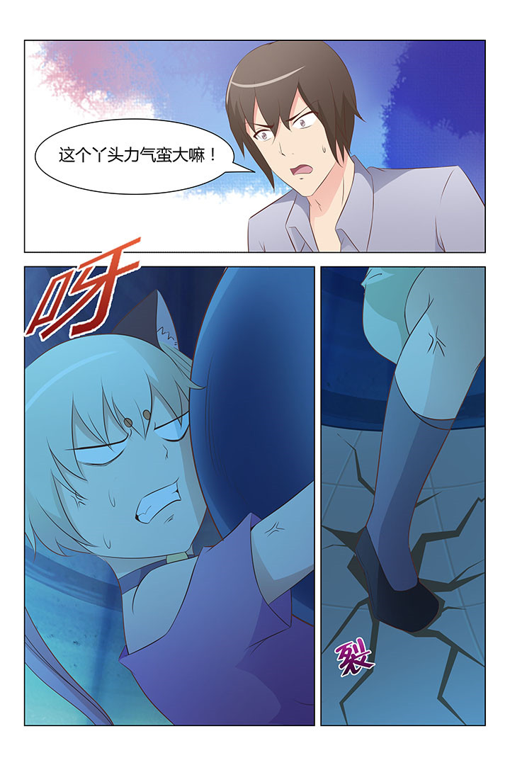 《喵即正义》漫画最新章节第148章：免费下拉式在线观看章节第【1】张图片