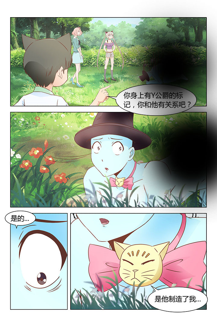 《喵即正义》漫画最新章节第155章：免费下拉式在线观看章节第【3】张图片