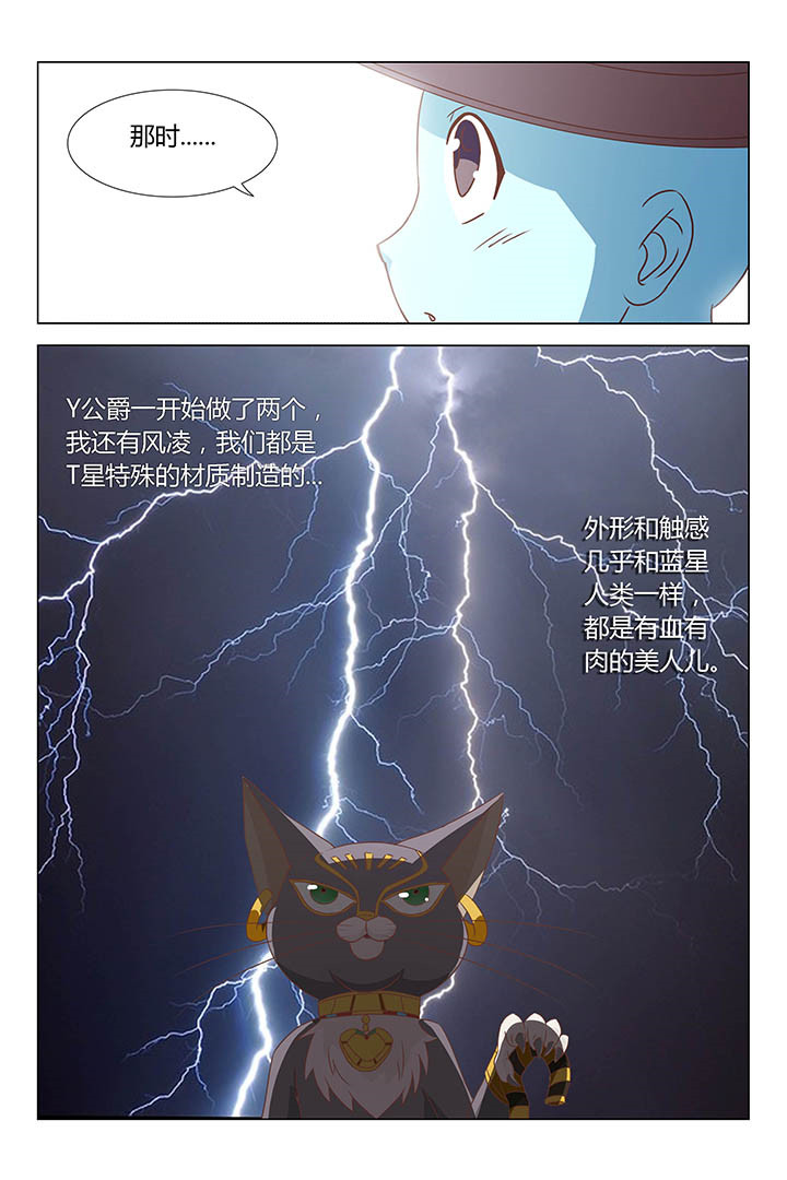 《喵即正义》漫画最新章节第156章：免费下拉式在线观看章节第【5】张图片