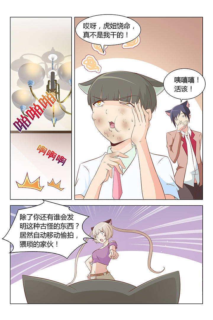 《喵即正义》漫画最新章节第161章：免费下拉式在线观看章节第【2】张图片