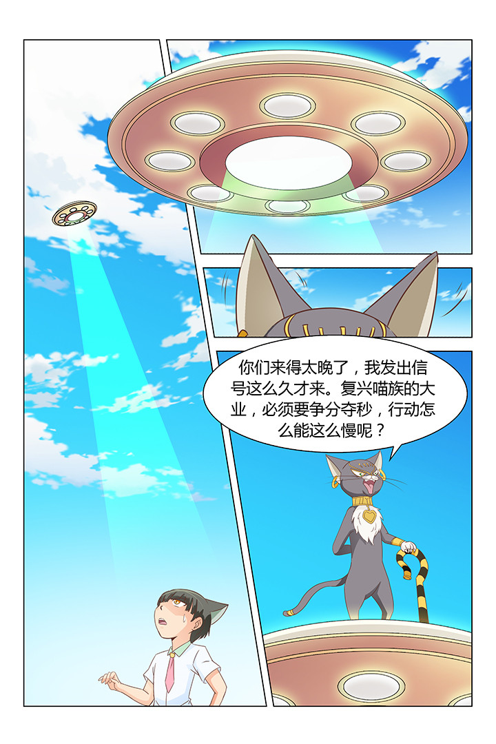 《喵即正义》漫画最新章节第163章：免费下拉式在线观看章节第【7】张图片