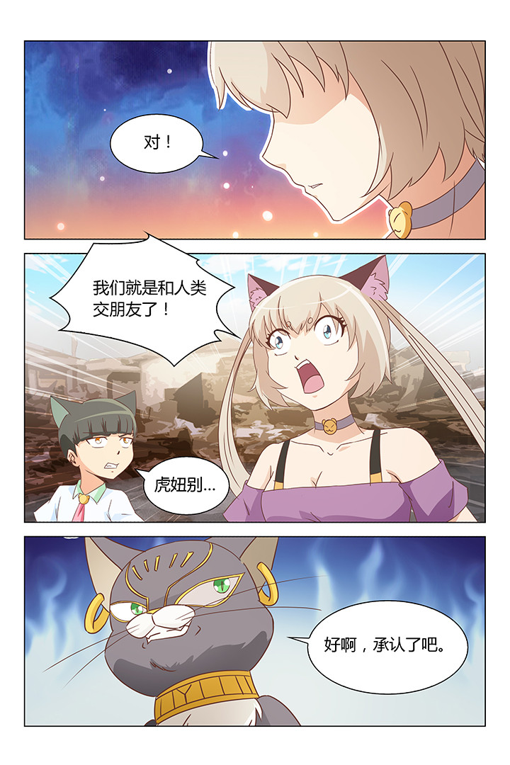 《喵即正义》漫画最新章节第164章：免费下拉式在线观看章节第【3】张图片