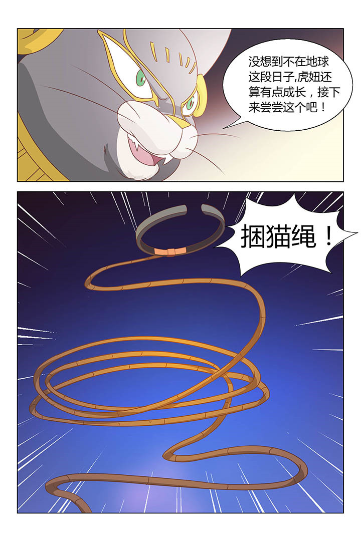 《喵即正义》漫画最新章节第165章：免费下拉式在线观看章节第【4】张图片