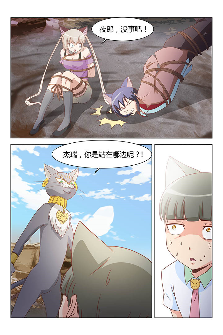 《喵即正义》漫画最新章节第166章：免费下拉式在线观看章节第【3】张图片