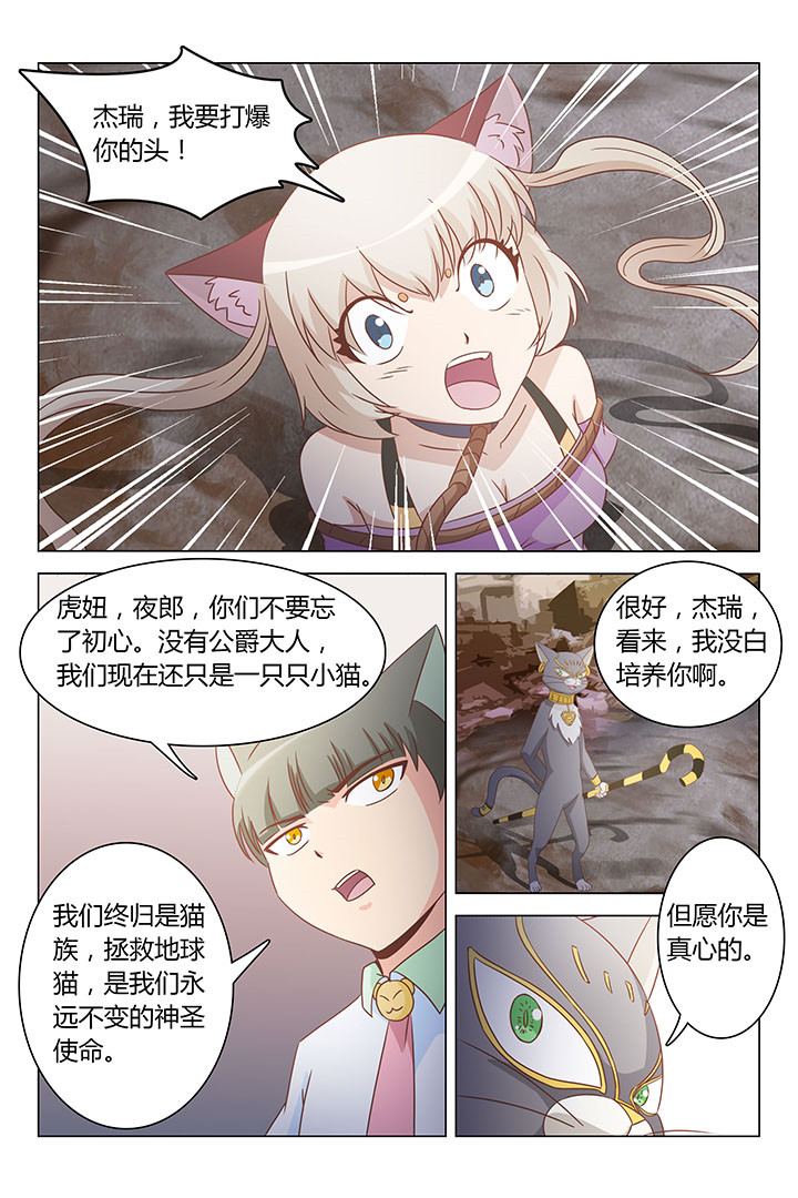 《喵即正义》漫画最新章节第166章：免费下拉式在线观看章节第【1】张图片