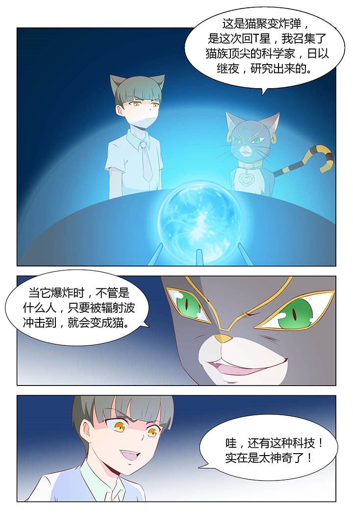 《喵即正义》漫画最新章节第167章：免费下拉式在线观看章节第【3】张图片