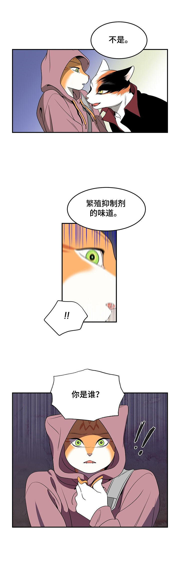 《灵猫欧米伽》漫画最新章节第1章：灵猫免费下拉式在线观看章节第【2】张图片