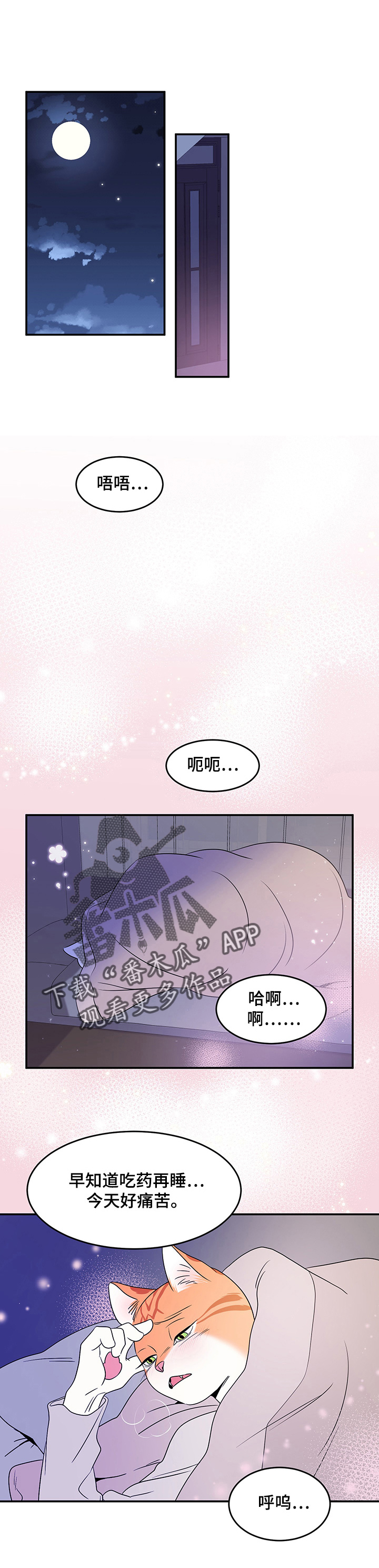 《灵猫欧米伽》漫画最新章节第2章：神经病免费下拉式在线观看章节第【3】张图片