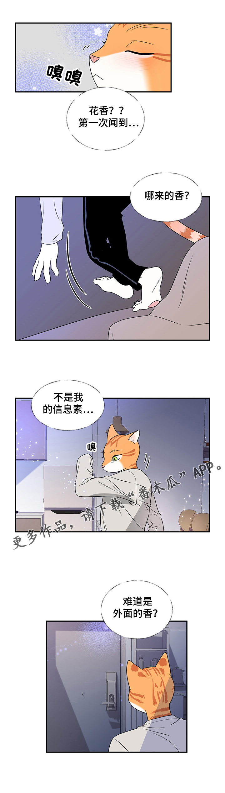 《灵猫欧米伽》漫画最新章节第2章：神经病免费下拉式在线观看章节第【1】张图片